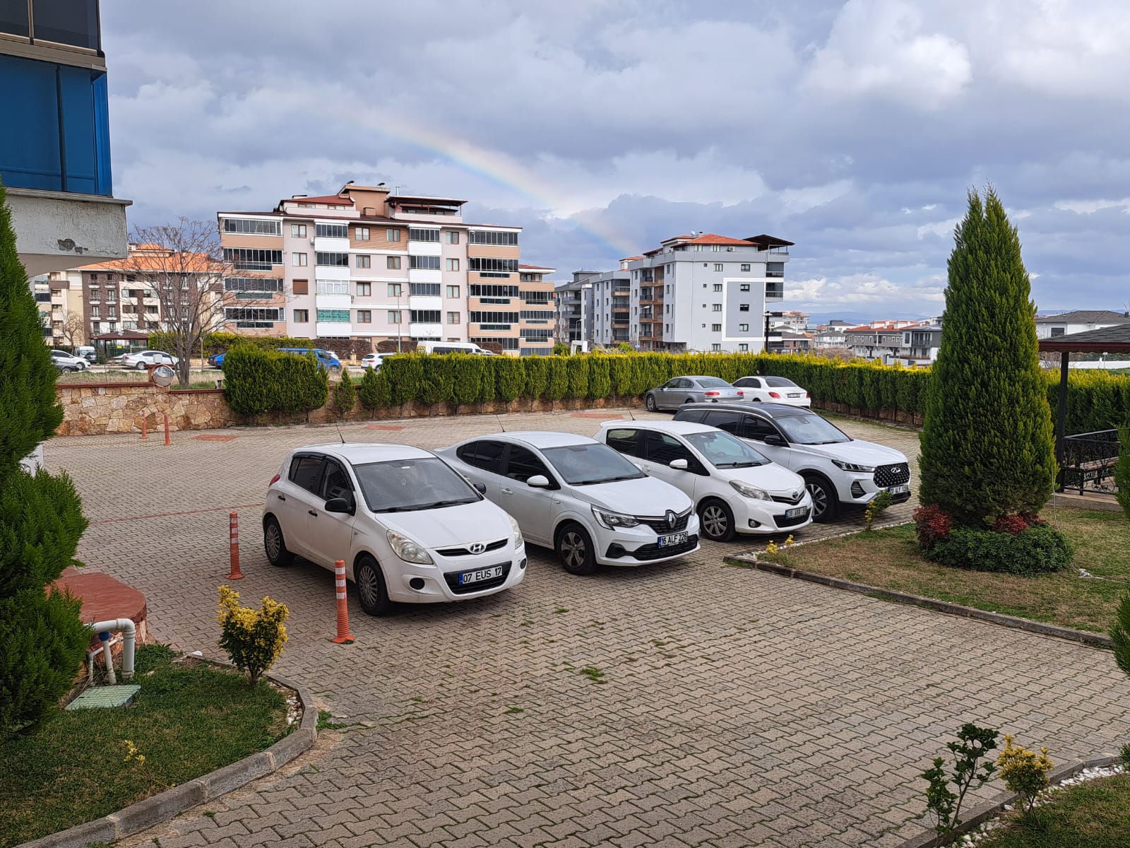 uzmanyonetim-selvi-1