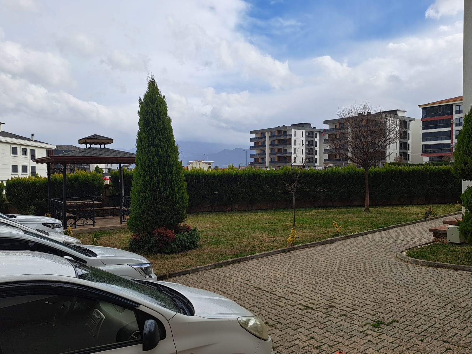 uzmanyonetim-selvi-8