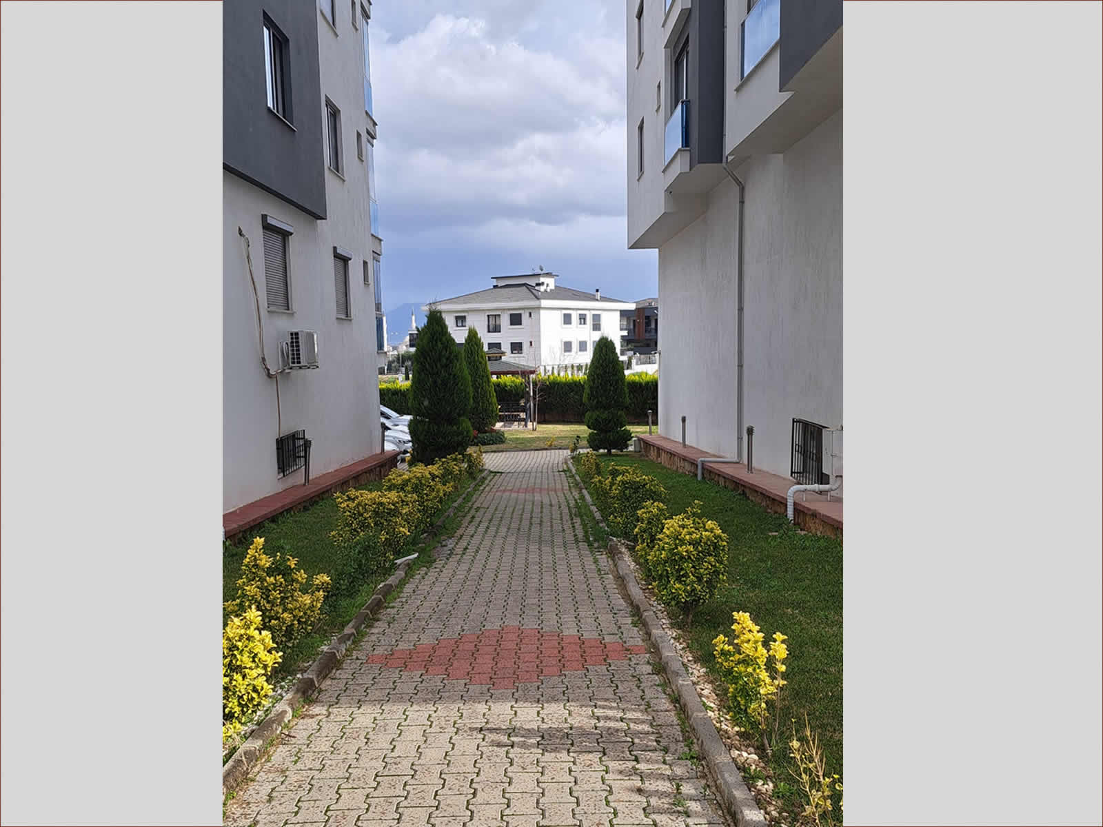 uzmanyonetim-selvi-9